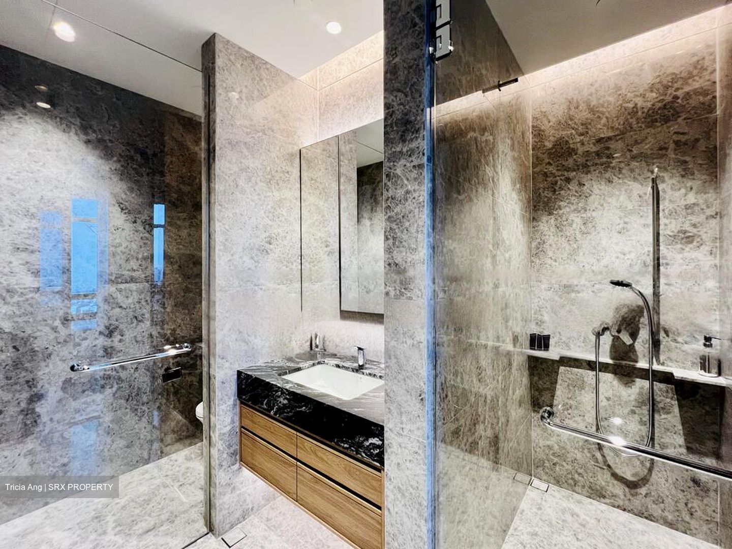 The Ritz-Carlton  (D9), Condominium #459403751